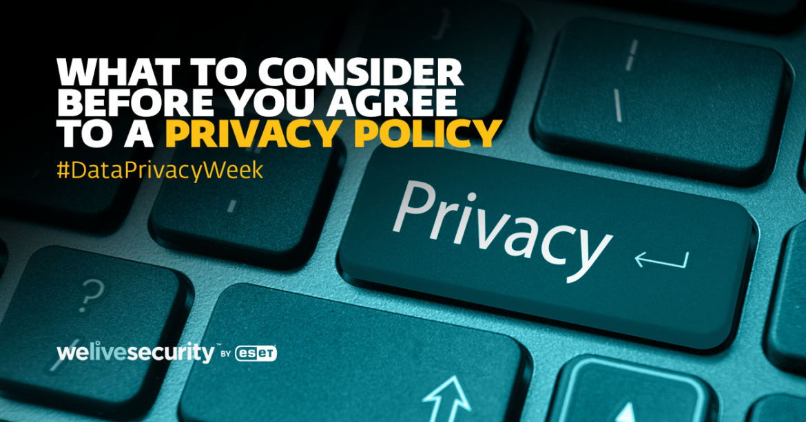 Privacy-Policy-Landscape.png