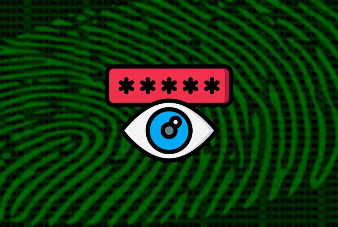 bhunt-password-stealer-malware-crypto-wallets-cracked-software.jpg
