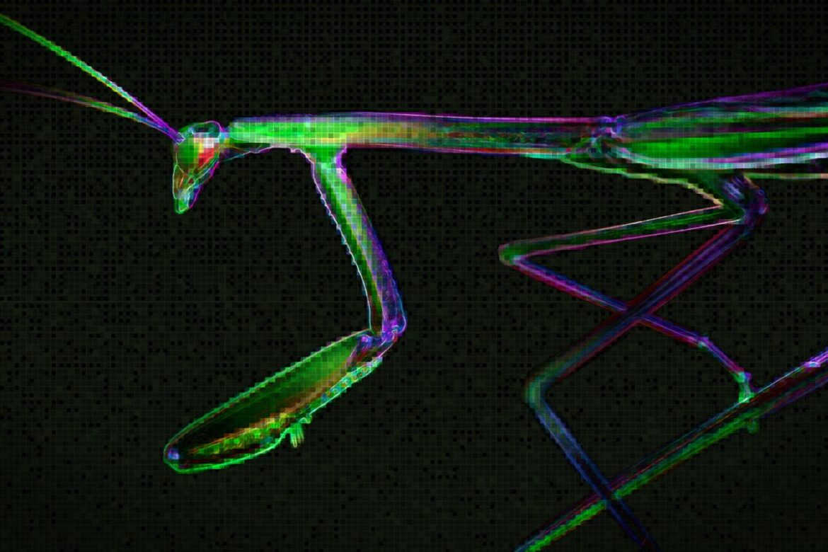 abstract_digital_mantis.jpg