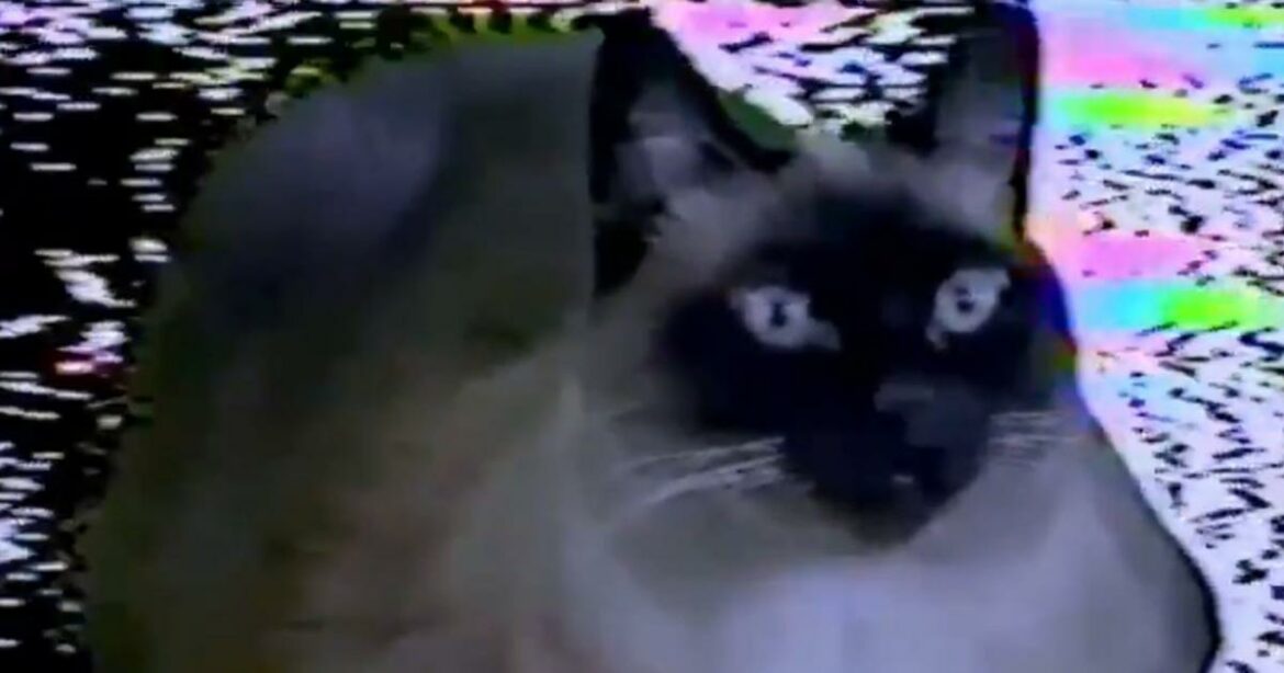 cover_image_superrare.jpg