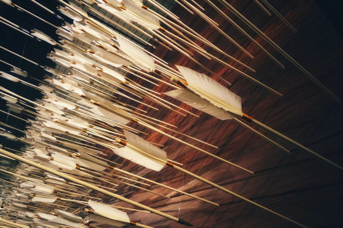 arrows_piercing_a_target_numerous_attacks_quantity_by_franck_v_cc0_via_unsplash-100869381-large.jpg