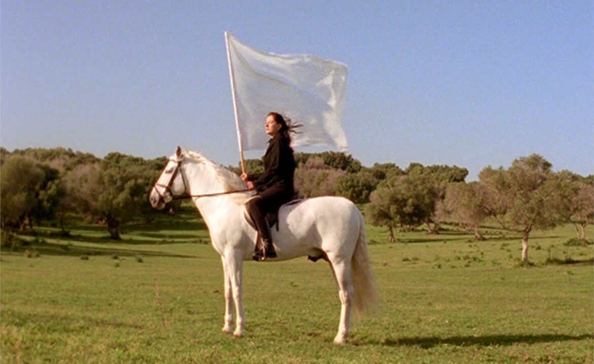 landylandmarina_abramovic_-_the_hero_25fps_example_jpg_c_circa.jpg
